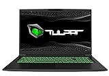 TULPAR T7 V20.6 Gaming Laptop | 17,3'' FHD 1920X1080 144HZ IPS LED-Display | Intel Core i7 13700H |...