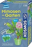 KOSMOS 657802 Mimosen-Garten, Pflanzen züchten und erforschen, Komplett-Set mit Mini-Gewächshaus,...